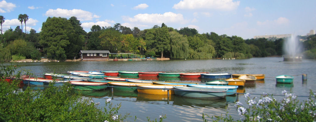 Johannesburg Area information